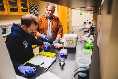 Dr. Dane Bowder, assistant professor of biology, works with a student in one of Doane's lab facililities. 